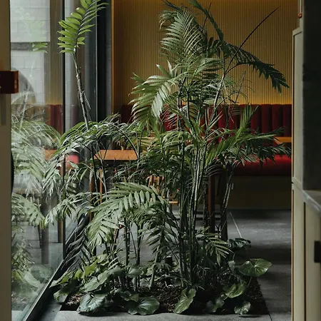 Nine Dots Azorean Art Boutique