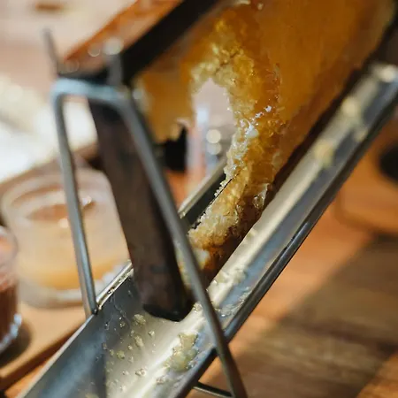 Nine Dots Azorean Art Boutique 4* Ponta Delgada