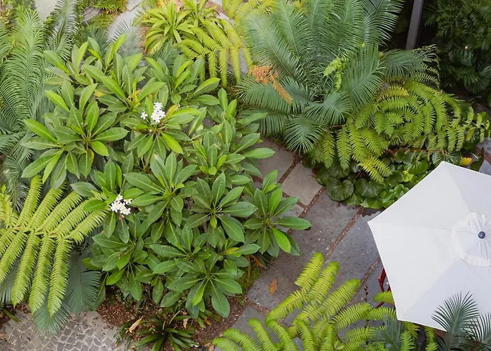 Nine Dots Azorean Art Boutique Πόντα Ντελγκάντα