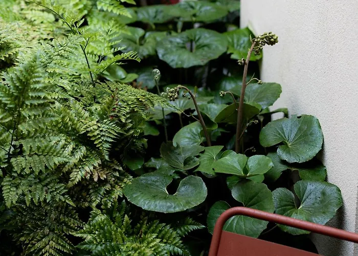 Nine Dots Azorean Art Boutique Ξενοδοχείο