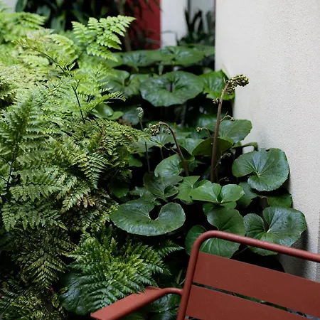 Nine Dots Azorean Art Boutique Hotel