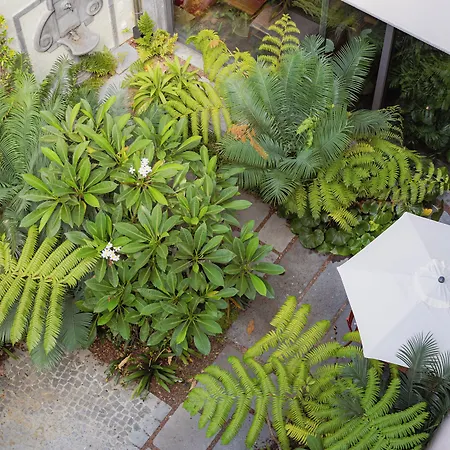 Hotel Nine Dots Azorean Art Boutique 4*